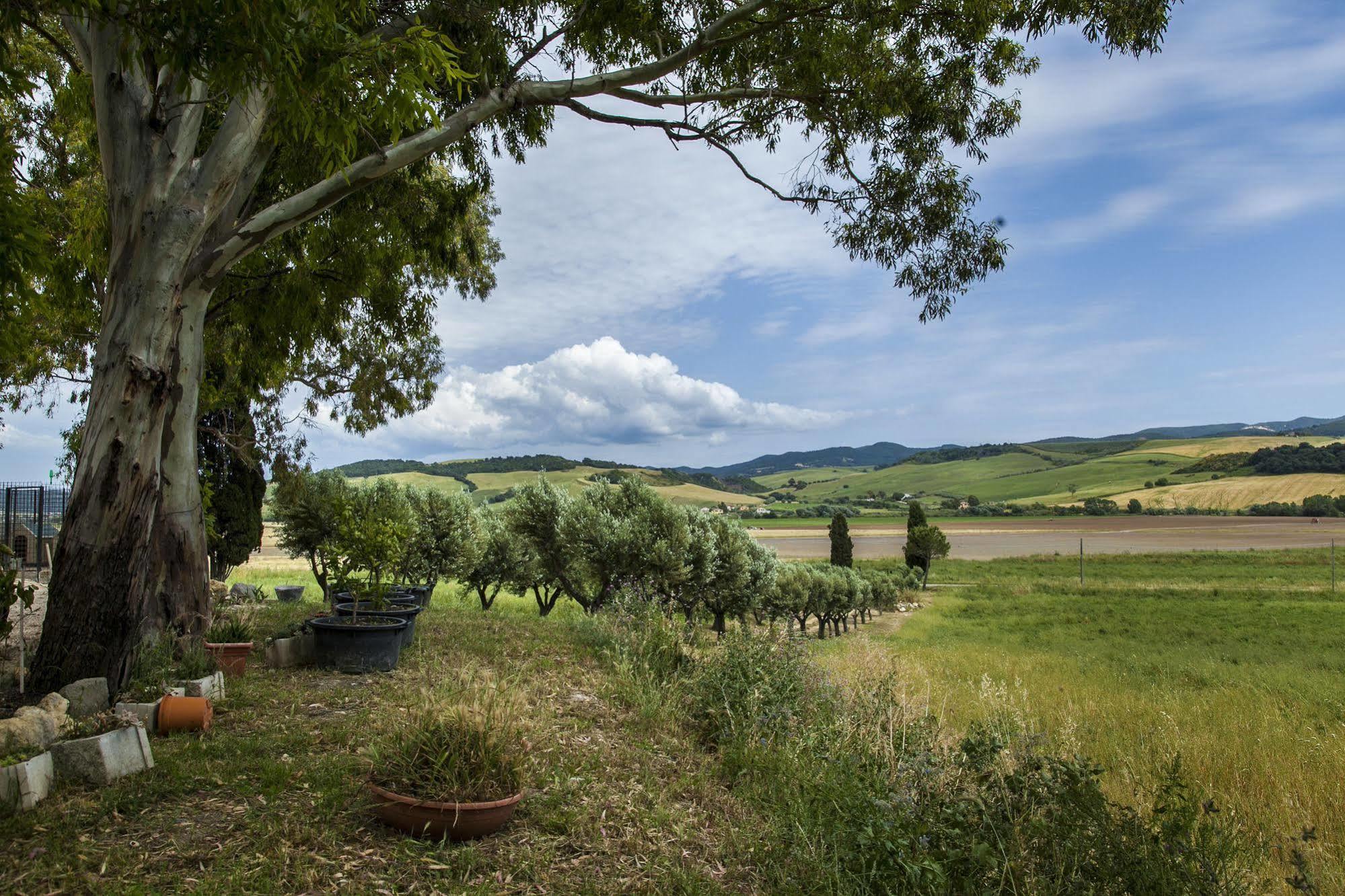 Locanda Villa Naumanni Tarquinia Eksteriør billede